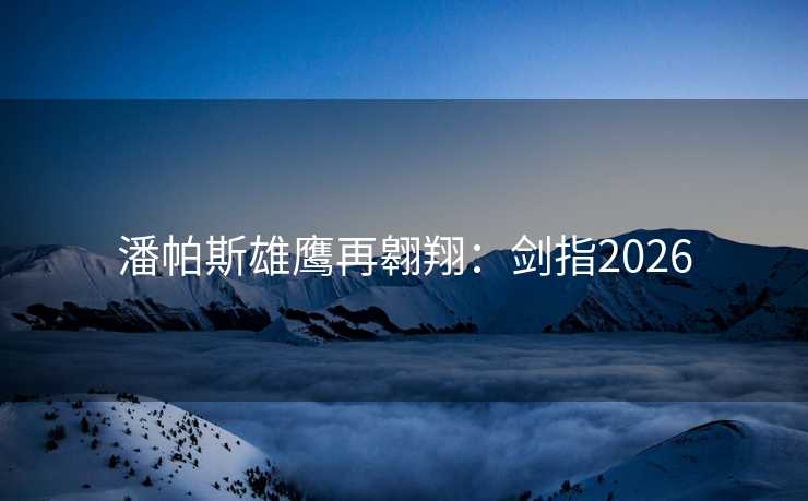潘帕斯雄鹰再翱翔：剑指2026