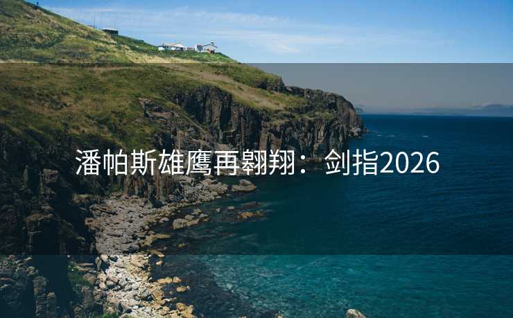 潘帕斯雄鹰再翱翔：剑指2026